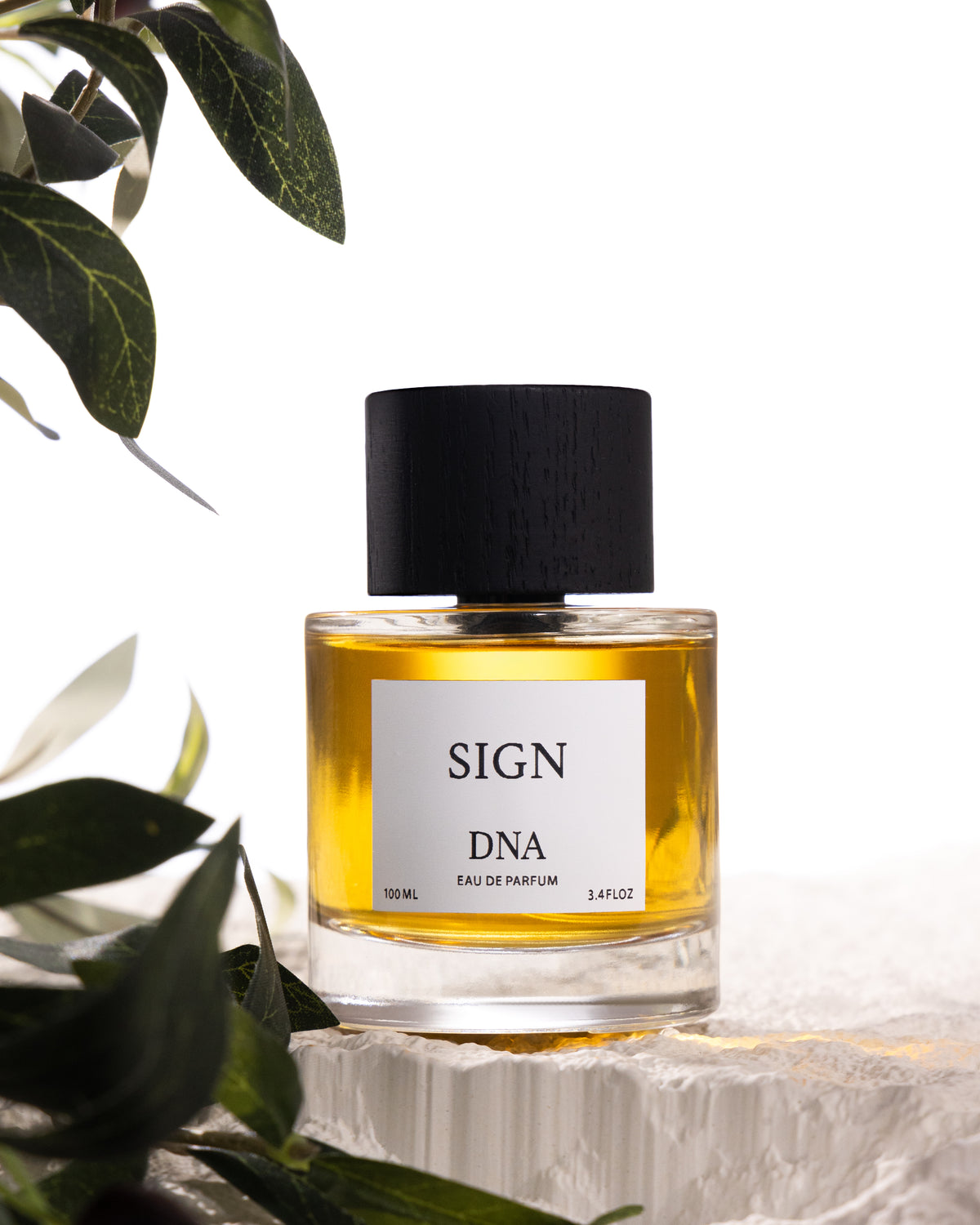 DNA